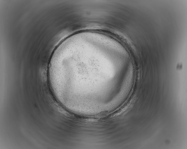 X0000096971409200802291110