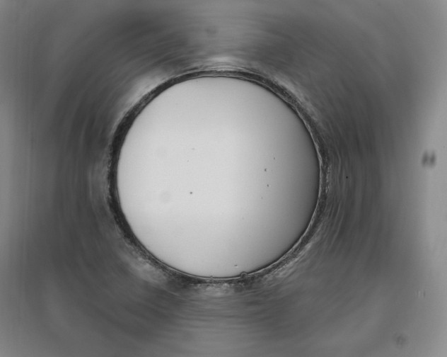 X0000096971410200802291110