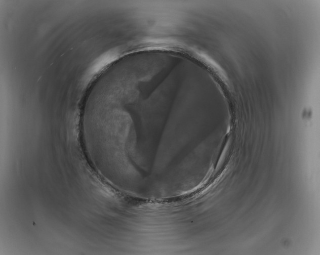 X0000096971411200802291110