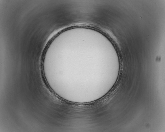 X0000096971412200802291110