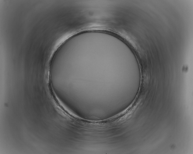 X0000096971413200802291110