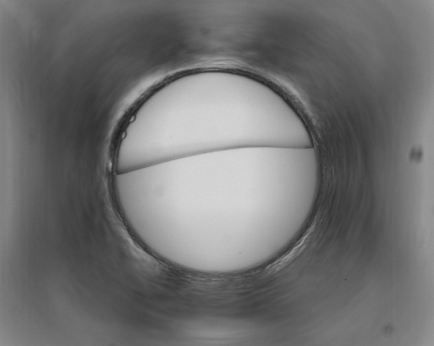 X0000096971414200802291110