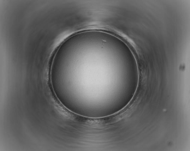 X0000096971415200802291110