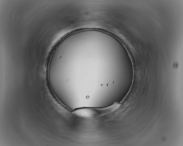 X0000096971416200802291110