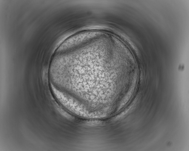 X0000096971417200802291110