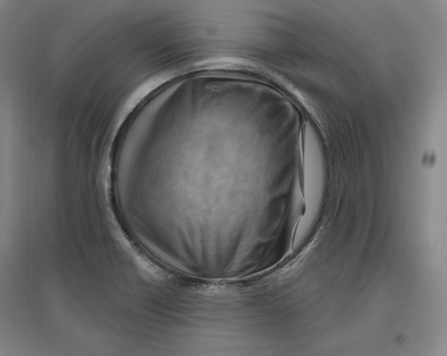 X0000096971418200802291110