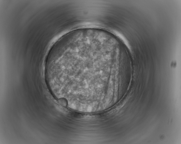 X0000096971419200802291110