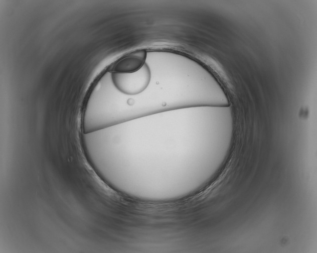 X0000096971420200802291110