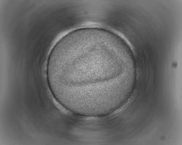 X0000096971421200802291110