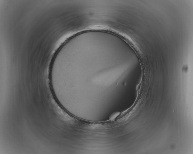 X0000096971422200802291110