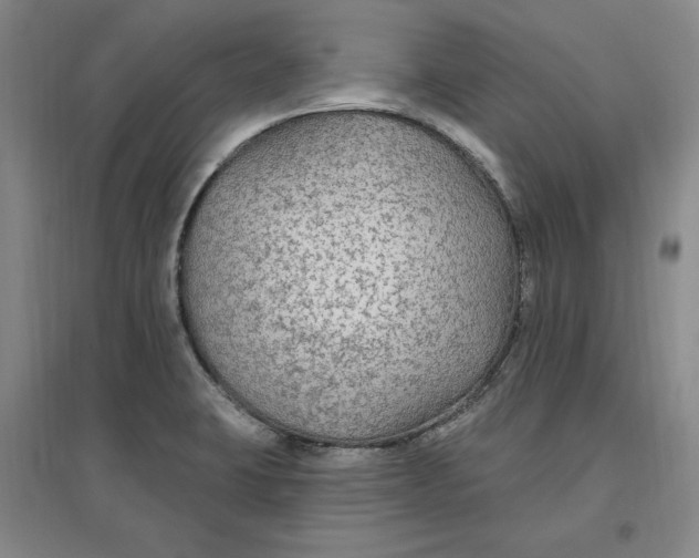 X0000096971423200802291110