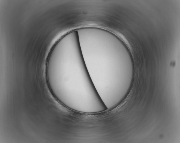 X0000096971424200802291110