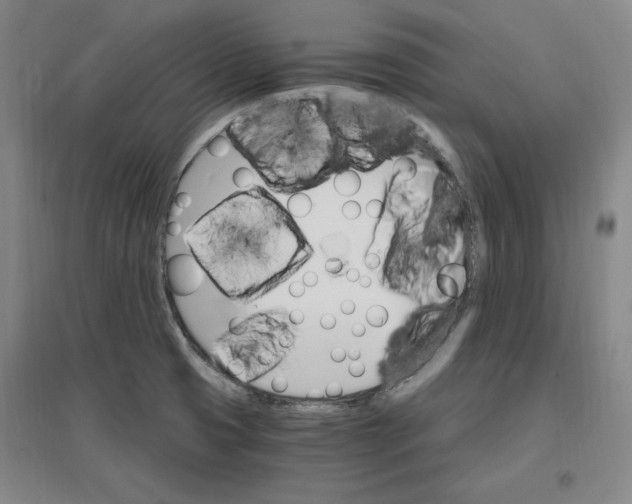 X0000096971425200802291110