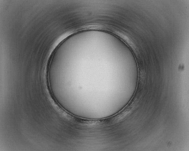 X0000096971426200802291110