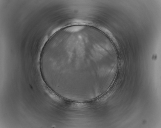 X0000096971427200802291110