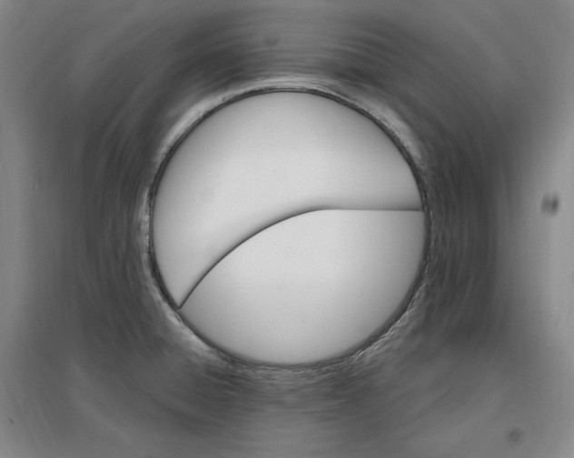 X0000096971428200802291111