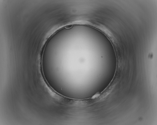 X0000096971430200802291111