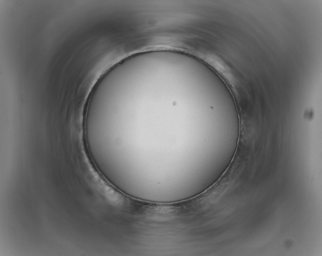 X0000096971431200802291111