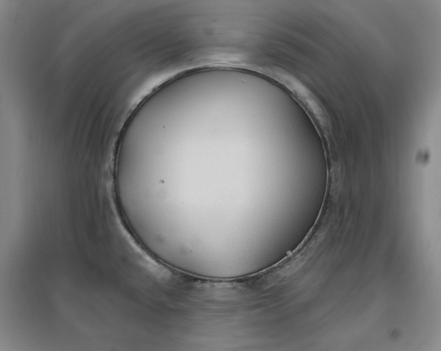 X0000096971432200802291111