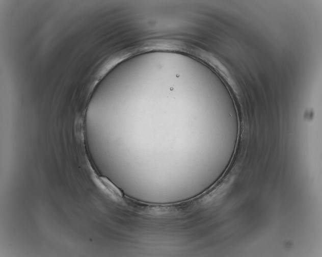 X0000096971433200802291111