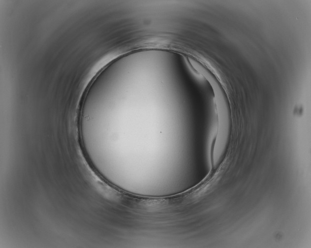 X0000096971434200802291111