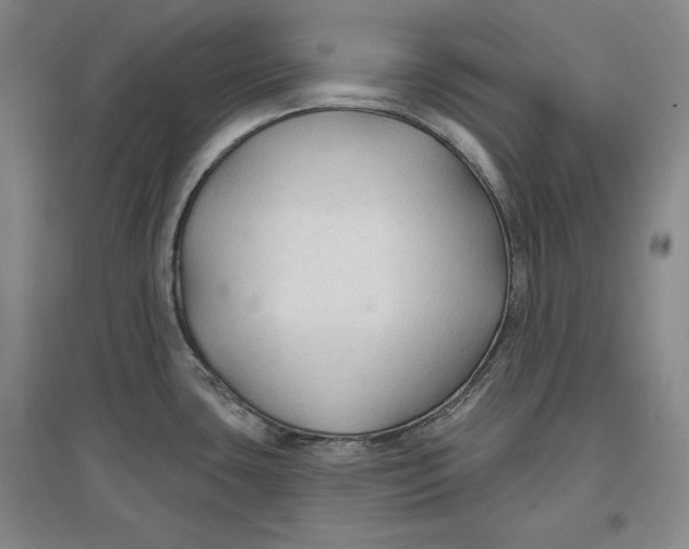 X0000096971435200802291111