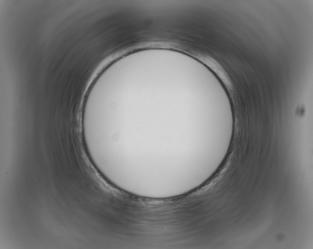 X0000096971436200802291111