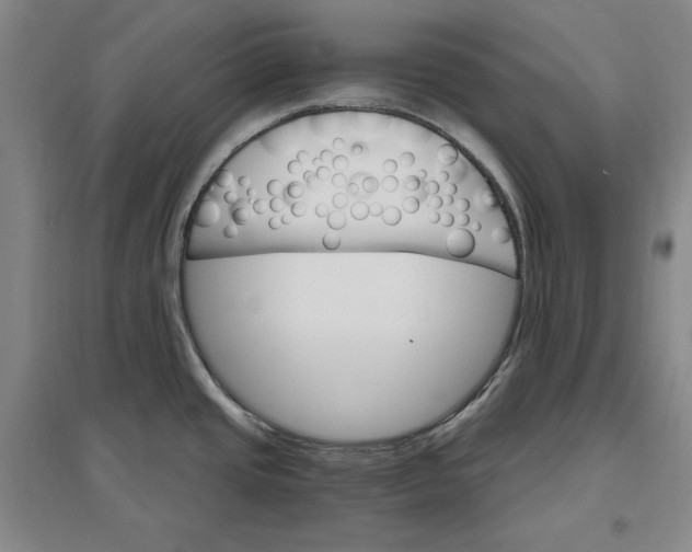 X0000096971437200802291111