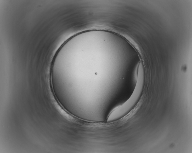 X0000096971438200802291111