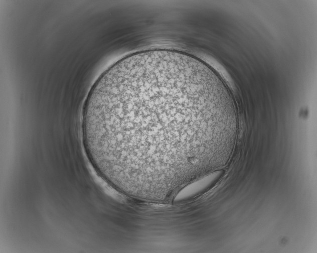 X0000096971439200802291111