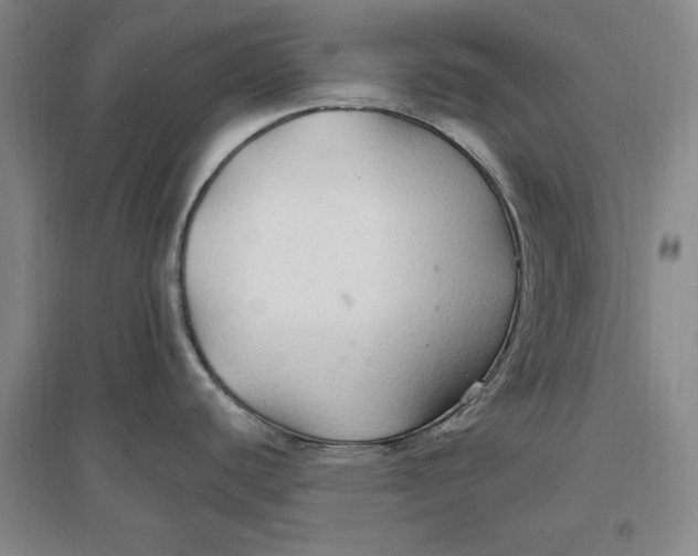 X0000096971440200802291111