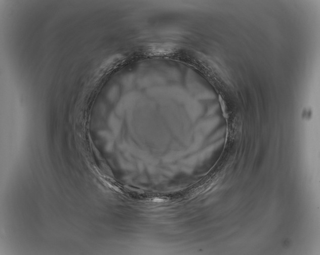 X0000096971441200802291110