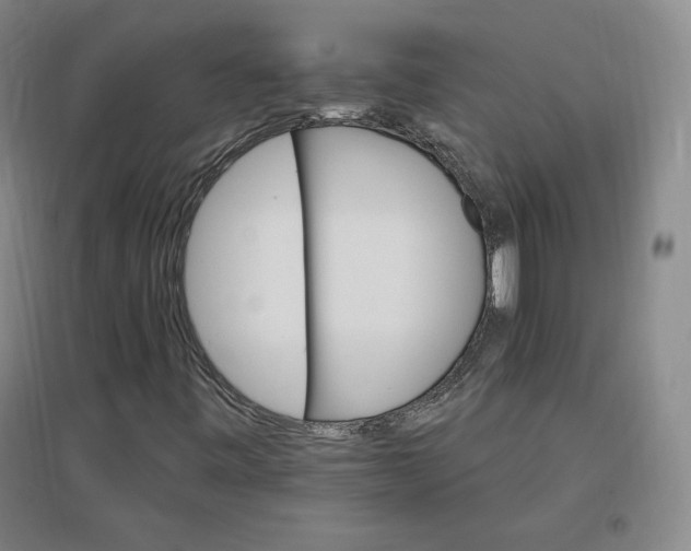 X0000096971443200802291110