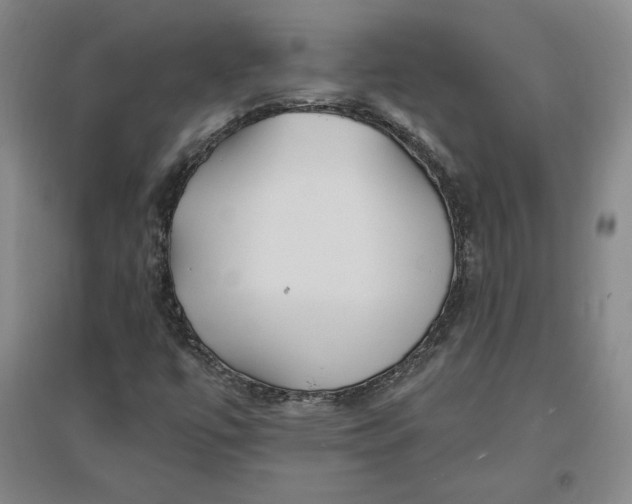 X0000096971447200802291110