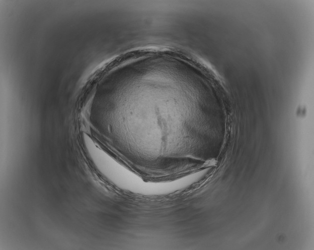 X0000096971448200802291110