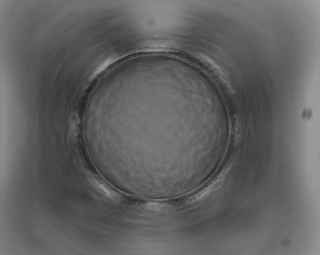 X0000096971449200802291110