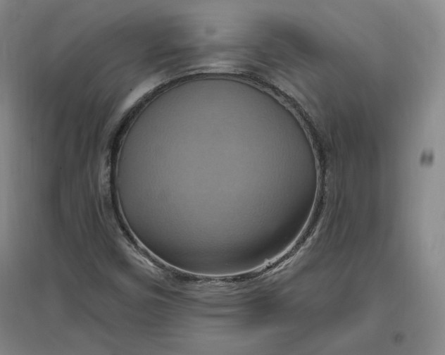 X0000096971450200802291110