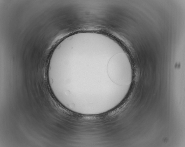 X0000096971451200802291110