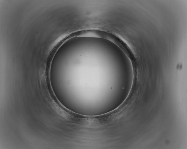 X0000096971452200802291110