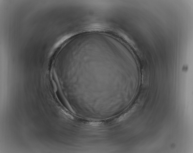 X0000096971453200802291110