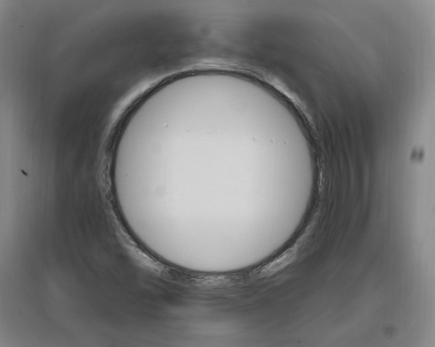 X0000096971454200802291110