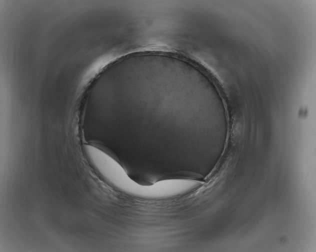 X0000096971455200802291110