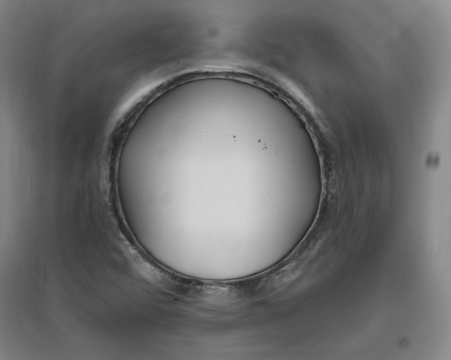 X0000096971456200802291110