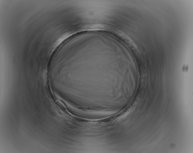 X0000096971457200802291110