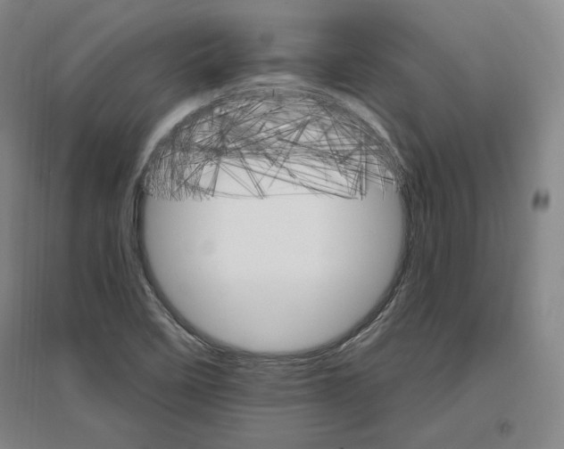 X0000096971458200802291110