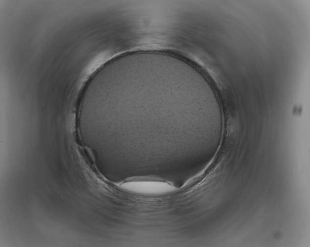 X0000096971459200802291110