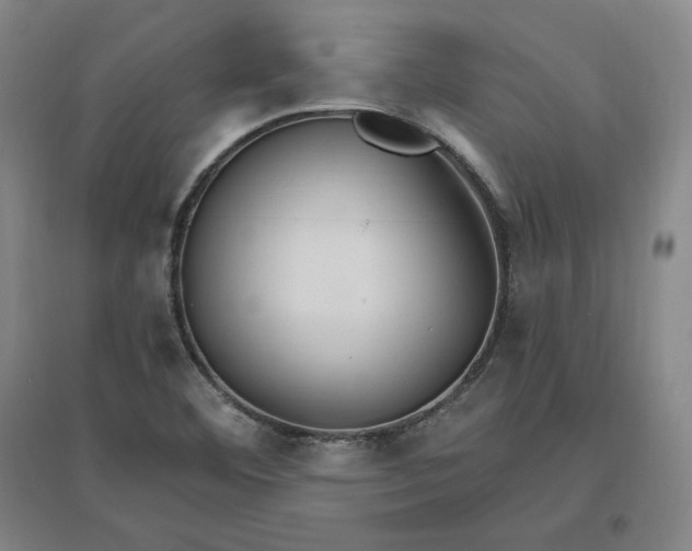 X0000096971460200802291110