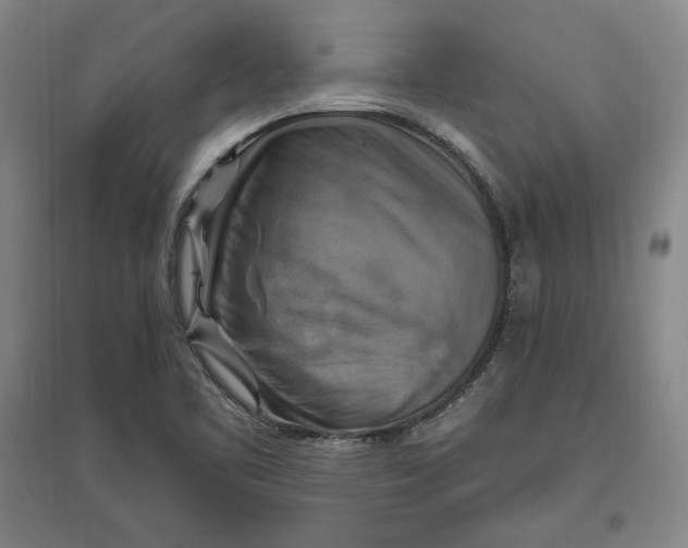 X0000096971461200802291110