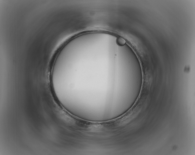 X0000096971462200802291110