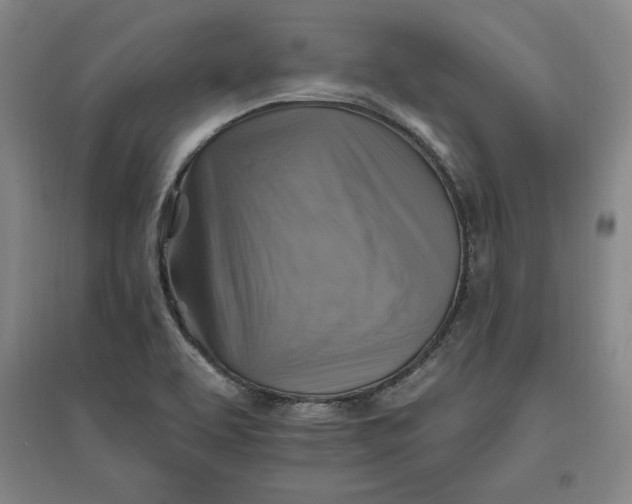 X0000096971463200802291110